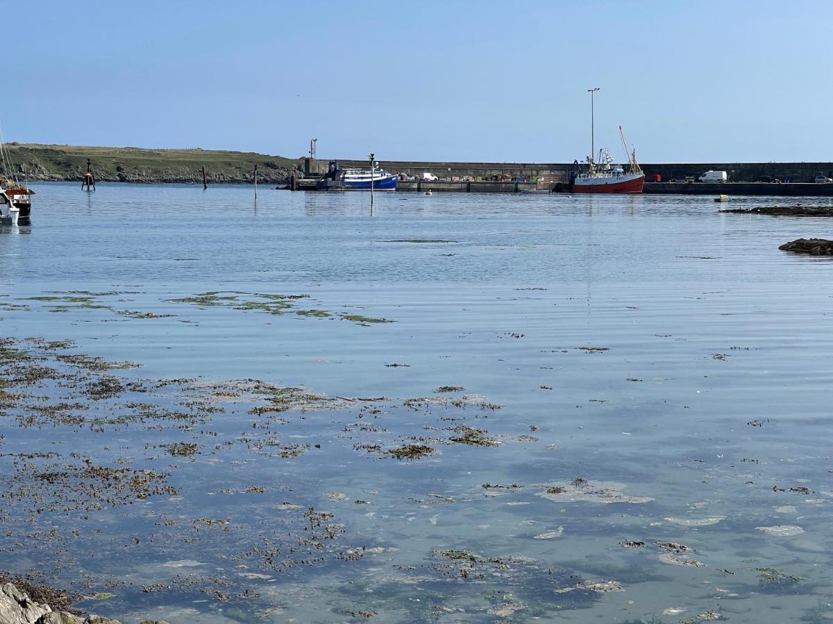 Lovely Apartment Overlooking The Harbour And Bay Ardglass Екстер'єр фото