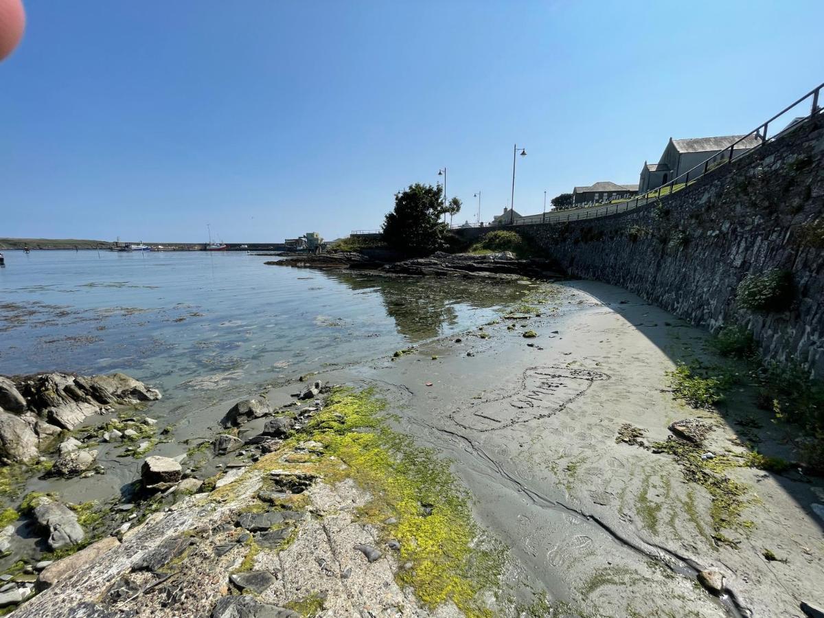 Lovely Apartment Overlooking The Harbour And Bay Ardglass Екстер'єр фото